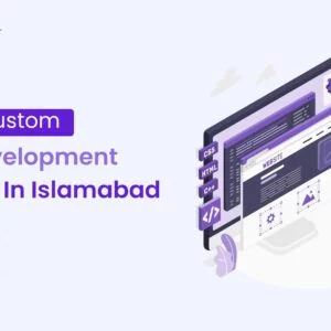custom web development service